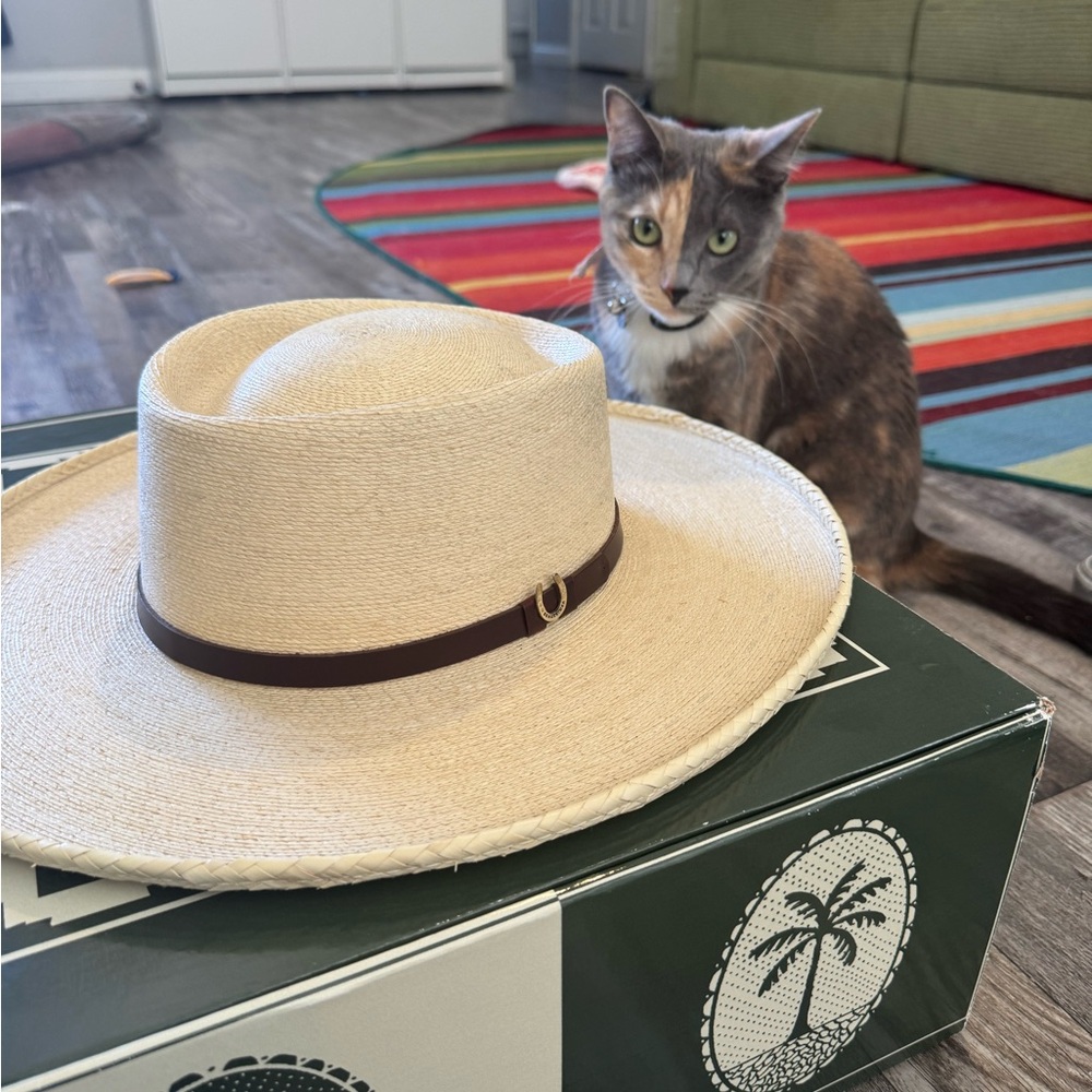 Seager Wide Straw Cowboy hat with Brown Band